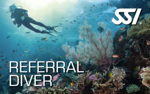 Referral Diver