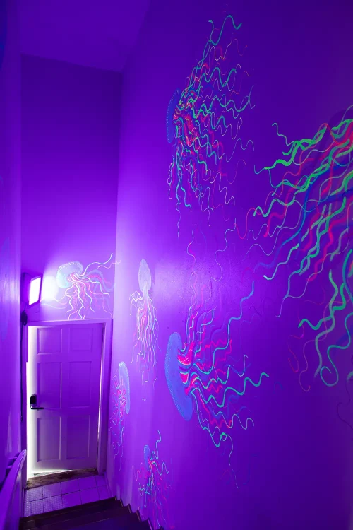 Shared Room - Image 2
