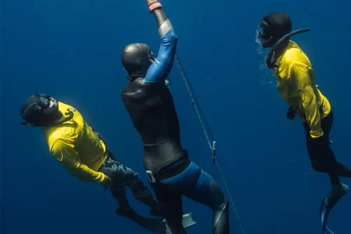 Stay and Dive Freediving Week Package